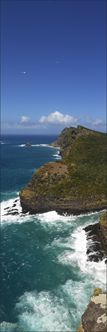 Kim's Lookout - Malabar - Admiralty Islands - Lord Howe Island - NSW V (PBH4 00 11937)